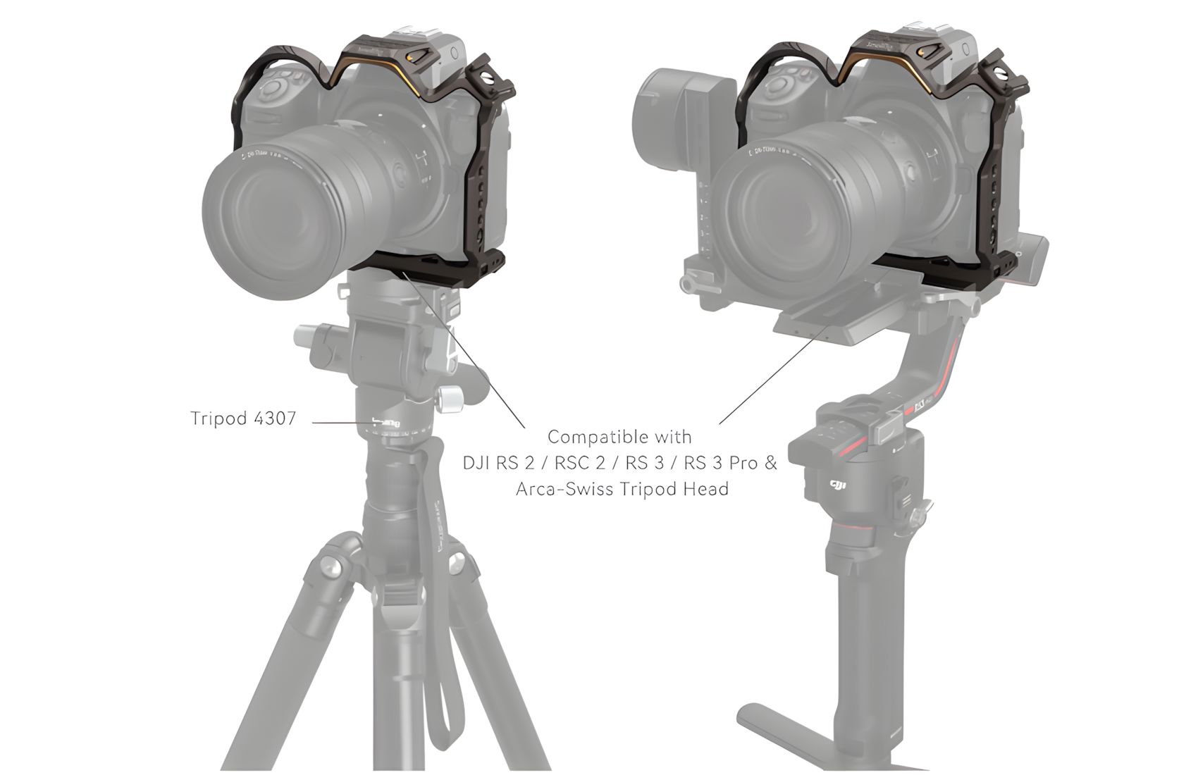 Night Eagle for Nikon Z8